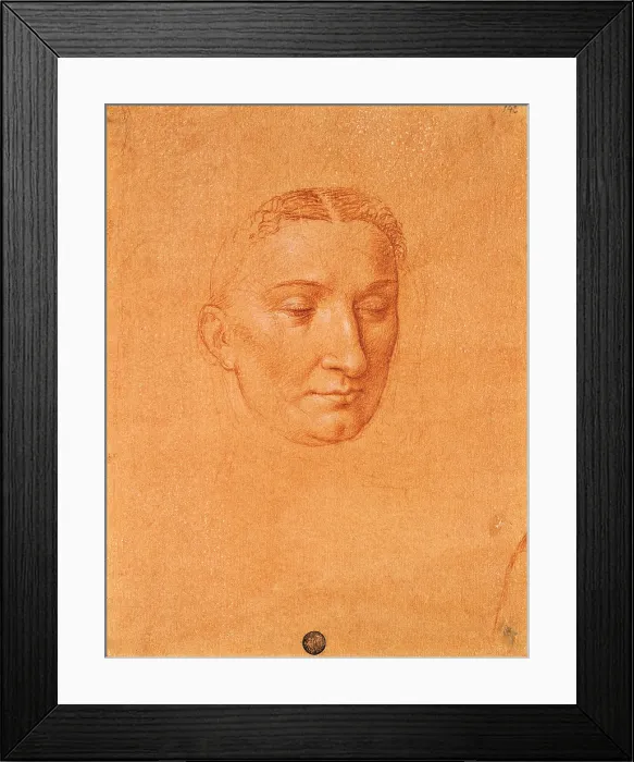 Framed Print : Female Head, by Cesare da Sesto, 16th Century, 1516 -1517 about, sanguine on red prepared paper, cm 27, 5 x 21, 3 - Italy, Veneto, Venice, Accademia Art Galleries, cat. n. 142