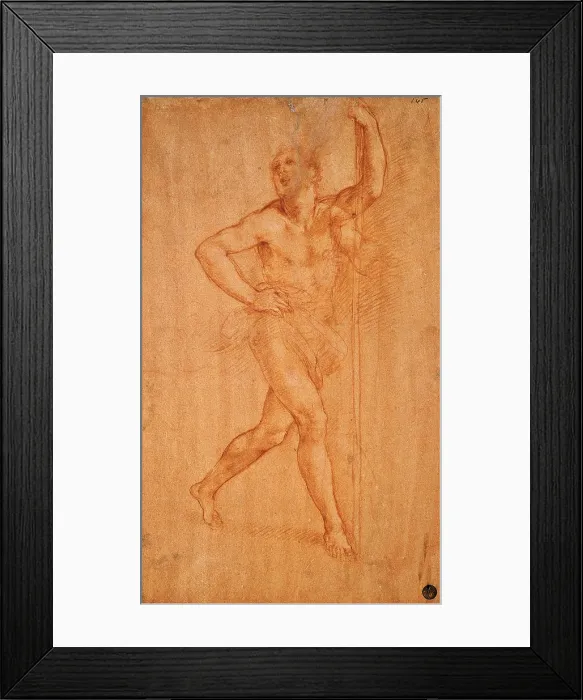 Framed Print : Study for St Christopher, by Cesare da Sesto, 16th Century, 1520 -1523 about, sanguine on red prepared paper, cm 39, 5 x 23, 8 - Italy, Veneto, Venice, Accademia Art Galleries, cat