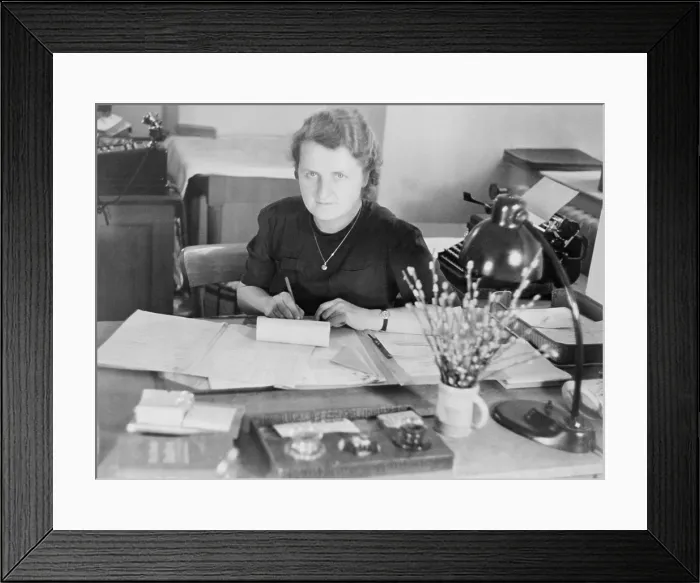 Framed Print : German woman office worker at the Deutsche Akademie, Munich, Germany. 1942. World War 2. (BSLOC_2014_10_223)