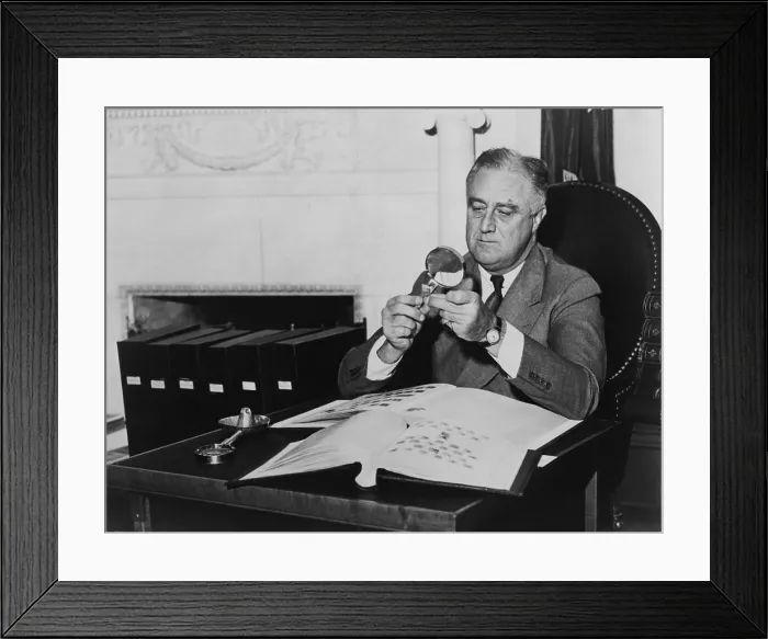 Framed Print : President Franklin Roosevelt after his 1936 re-election, with his stamp collection, a favorite hobby. White House, Washington, D.C. (BSLOC_2015_2_248) Framed Print : President Franklin Roosevelt after his 1936 re-election, with his stamp collection, a favorite hobby. White House, Washington, D.C. (BSLOC_2015_2_248)