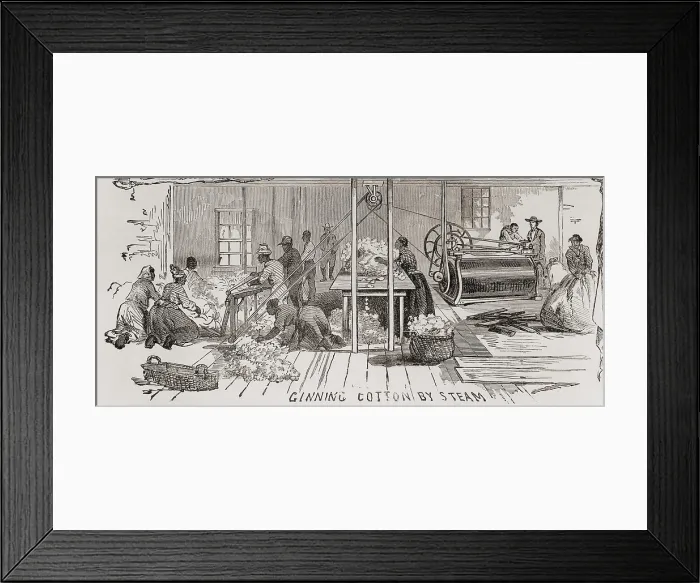 Framed Print : Ginning cotton by steam powered gin in 1861. U.S. cotton production supplied the textile mills of the U.S. North and Britain, and accounted for 57% of U.S. exports in 1860