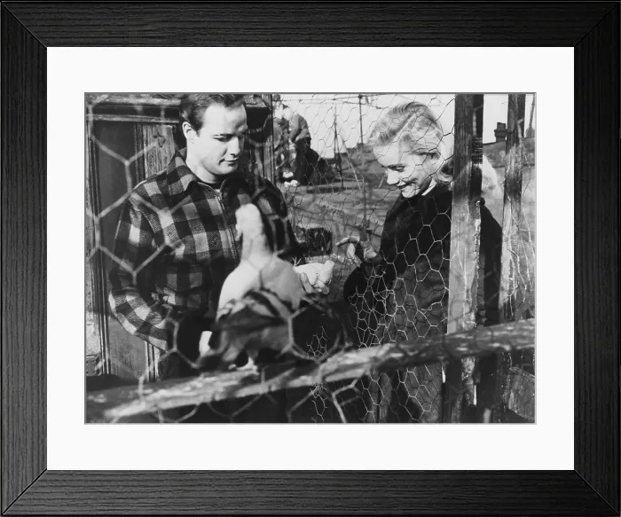 Framed Print : ON THE WATERFRONT, from left: Marlon Brando, Eva Marie Saint, 1954