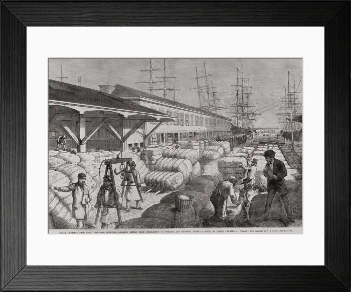Framed Print : North Commercial wharf of Charleston, S.C. with cotton bales for shipping to foreign and domestic ports via sailing ships. 1878
