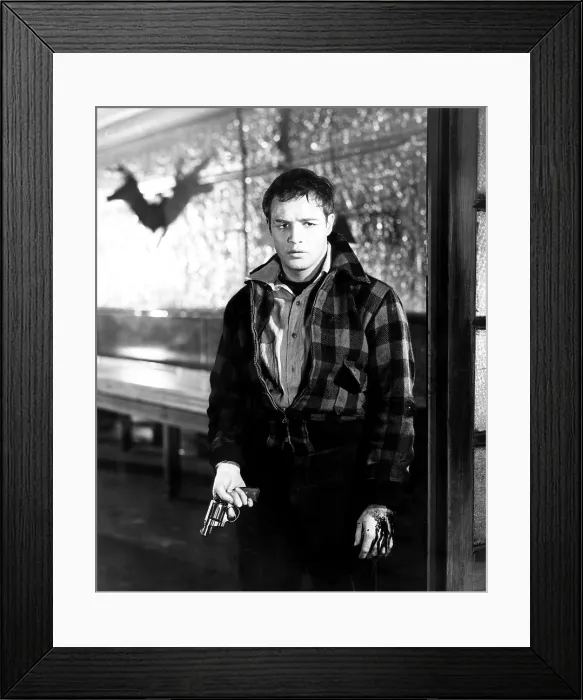 Framed Print : ON THE WATERFRONT, Marlon Brando, 1954 Framed Print : ON THE WATERFRONT, Marlon Brando, 1954