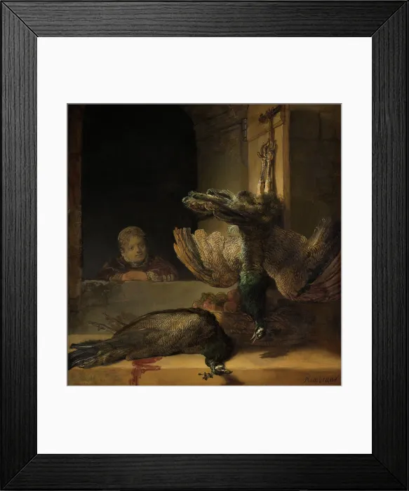 Framed Print : Still Life with Peacocks, by Rembrandt van Rijn, 1639, Dutch painting, oil on canvas. A girl looks at two dead peacocks. from a window Framed Print : Still Life with Peacocks, by Rembrandt van Rijn, 1639, Dutch painting, oil on canvas. A girl looks at two dead peacocks. from a window