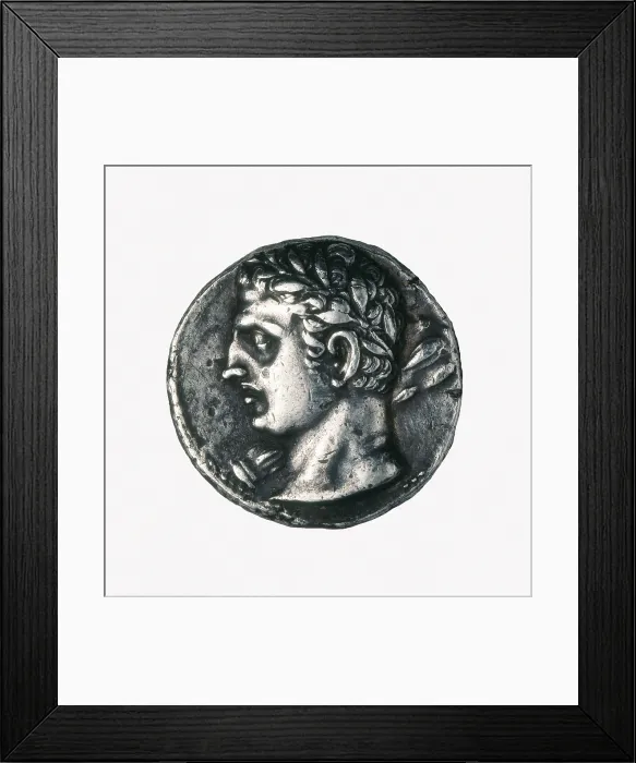 Framed Print : Carthaginian coin. Minted in Spain between 237-206 BC. Coin. - J. Bedmar / Iberfoto / Everett Collection (466640)**US SALES ONLY** Framed Print : Carthaginian coin. Minted in Spain between 237-206 BC. Coin. - J. Bedmar / Iberfoto / Everett Collection (466640)**US SALES ONLY**