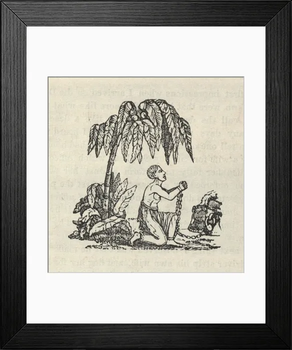 Framed Print : Am I Not a Man and a Brother? The trademark image of the British Abolitionists, showing a slave in chains appealing for his liberation