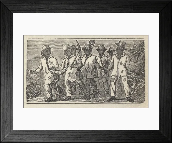 Framed Print : Slaves often travel in coffles, chained together for transport. At right is the slave driver, a fellow slave who was the foreman for the overseer