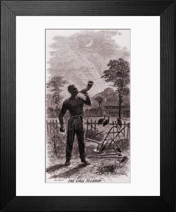 Framed Print : African American blowing the wake-up call for the cotton workers on a Southern plantation in 1867, two years after the end of the U.S. Civil War