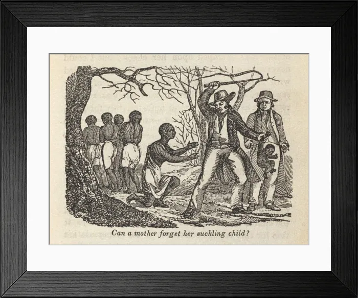 Framed Print : Henry Bibb (1815-1854) authored a compelling memoir of slavery with eyewitness illustrations of slavery Framed Print : Henry Bibb (1815-1854) authored a compelling memoir of slavery with eyewitness illustrations of slavery