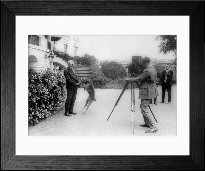 Framed Print : President Harding being photographed with his pet dog, Laddie Boy, an Airedale Terrier. White House, June 13, 1922. (BSLOC_2015_15_26)