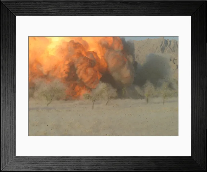 Framed Print : U.S. Marines clear mines in a orchard at Now Zad Afghanistan on Sept. 10 2008. Photo by:Everett Collection(BSLOC_2011_6_66)