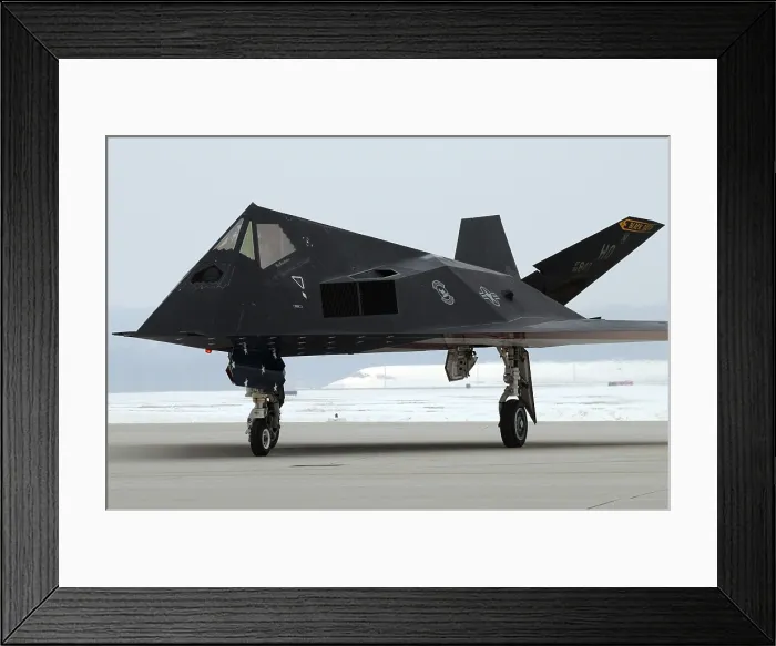 Framed Print : F-117 Nighthawk stealth fighter during its retirement ceremony at Wright-Patterson Air Force Base Ohio