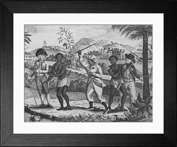 Framed Print : Newly arrived African captives for the Caribbean slave trade. In the foreground a women is whipped