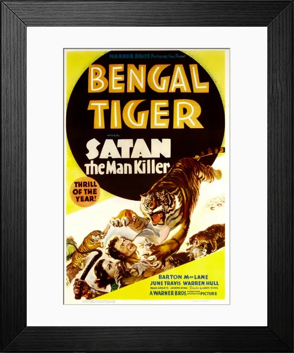Framed Print : BENGAL TIGER, from left: June Travis, Barton MacLane, 1936