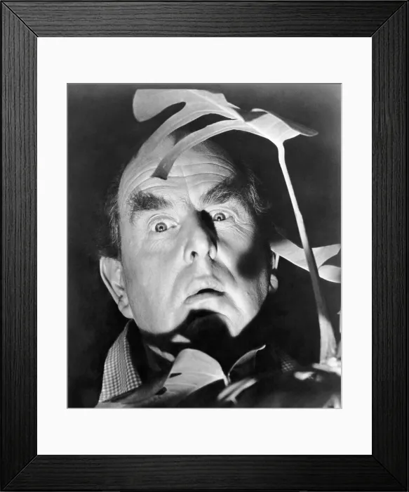 Framed Print : TOPKAPI, Robert Morley, 1964 Framed Print : TOPKAPI, Robert Morley, 1964