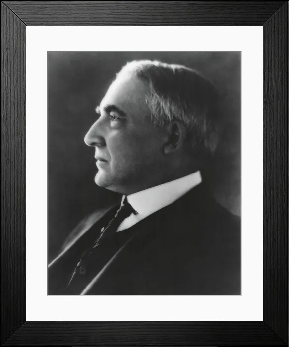 Framed Print : Profile Portrait of President Warren Harding, ca. 1921-23. (BSLOC_2015_15_7)