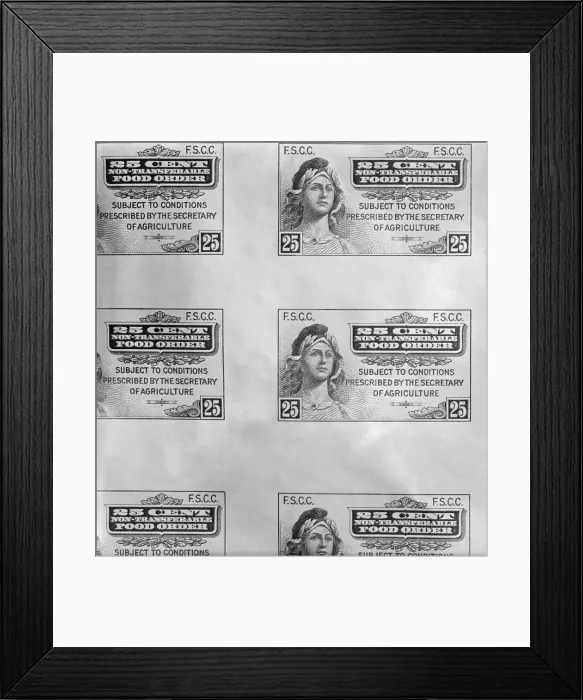 Framed Print : First Food Stamp was introduced on April 20 1939. The Department of Agriculture administered the program that made food surpluses available to the poor at reduced costs