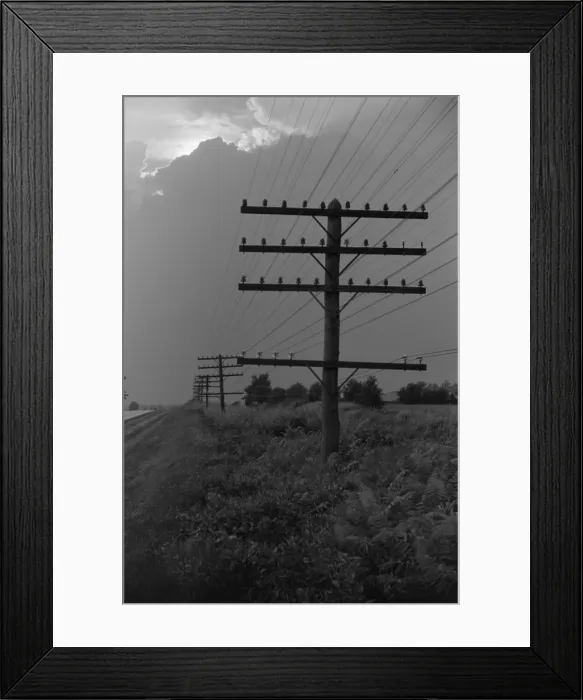 Framed Print : Electric lines taking power to rural Americans, ca. 1938. From 1935-39 the New Deal Rural Electric Administration raised electric power access 10% to 25%. (BSLOC_2013_7_85)