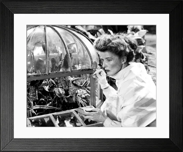 Framed Print : SUDDENLY LAST SUMMER, Katharine Hepburn, 1959
