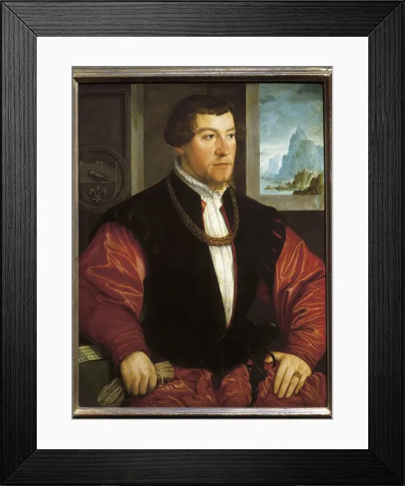 Framed Print : Chistoph Baumgartner. 1543. Portrait when he was 29 years-old. Renaissance art. Oil on wood. AUSTRIA. Vienna. Kunsthistorisches Museum Vienna (Museum of Art History)