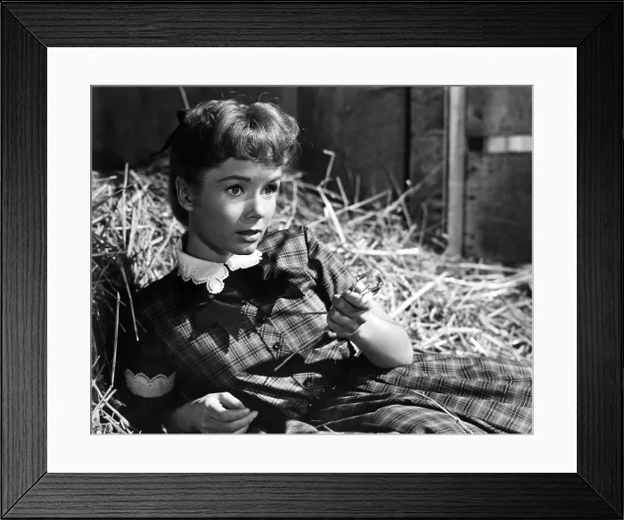 Framed Print : TAMMY AND THE BACHELOR, Debbie Reynolds, 1957 Framed Print : TAMMY AND THE BACHELOR, Debbie Reynolds, 1957