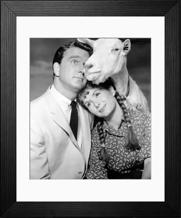 Framed Print : TAMMY AND THE BACHELOR, Leslie Nielsen, Debbie Reynolds, 1957