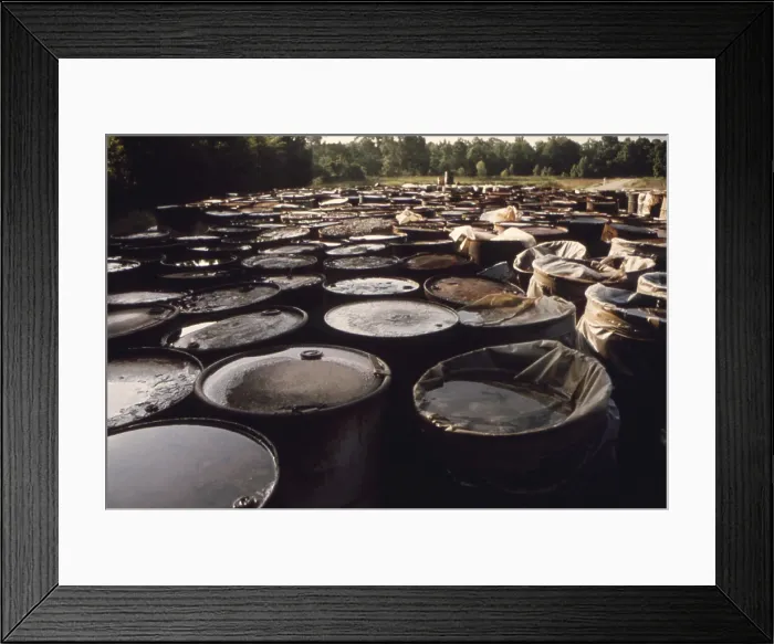 Framed Print : Some of 3 000 drums containing hazardous industrial waste in storage for over 6 months in a swampy field near Ville Platte Louisiana. The waste was brought in from Houston Texas