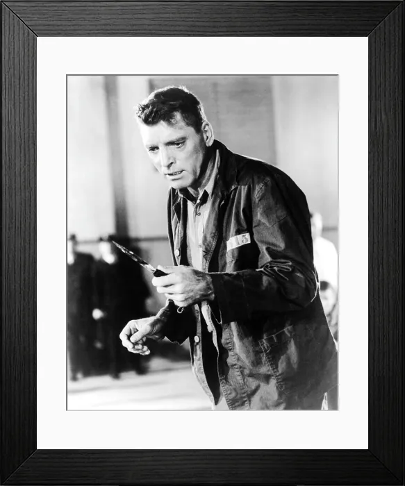 Framed Print : BIRDMAN OF ALCATRAZ, Burt Lancaster, 1962