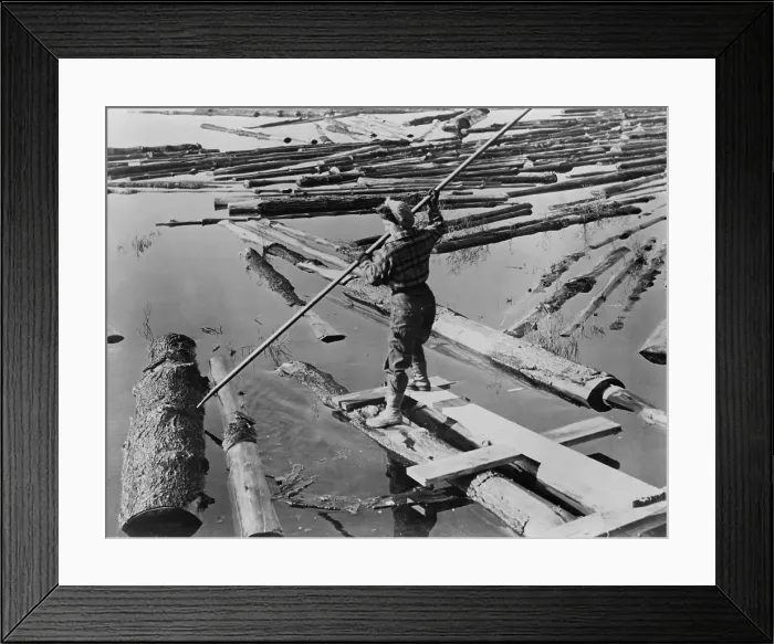 Framed Print : Lumberjill, a female lumberjack drives logs with pike pole during World War 2. The New Hampshire lumber mill was operated by women due to the absence of men in the military. Ca