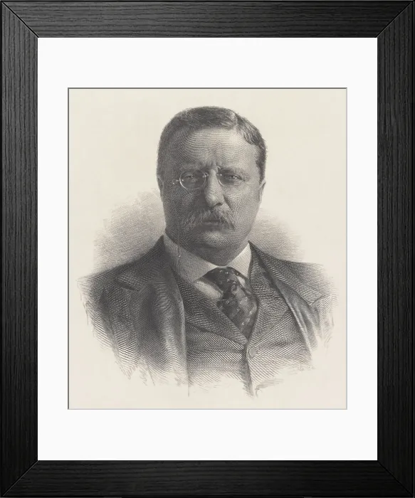 Framed Print : President Theodore Roosevelt, 1945 engraving by the Treasury Dept. from a 1908 portrait (BSLOC_2017_6_45) Framed Print : President Theodore Roosevelt, 1945 engraving by the Treasury Dept. from a 1908 portrait (BSLOC_2017_6_45)