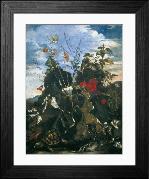 Framed Print : Herbs, insects and flowers. School of Mathias Withoos (17th c.). Baroque art. Oil on canvas. - BeBa / Iberfoto / Everett Collection (441945)**US SALES ONLY** Framed Print : Herbs, insects and flowers. School of Mathias Withoos (17th c.). Baroque art. Oil on canvas. - BeBa / Iberfoto / Everett Collection (441945)**US SALES ONLY**