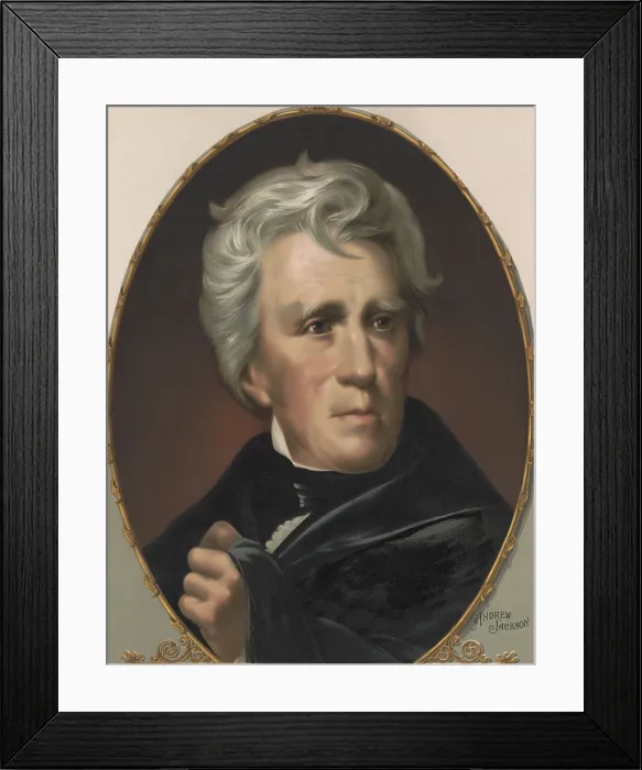 Framed Print : President Andrew Jackson, oval chromolithograph printed in 1896 (BSLOC_2017_6_15)