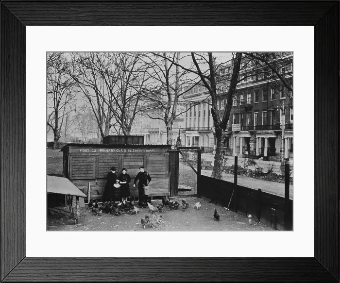 Framed Print : British poultry club Eaton Square, in the heart of fashionable Belgravia, London