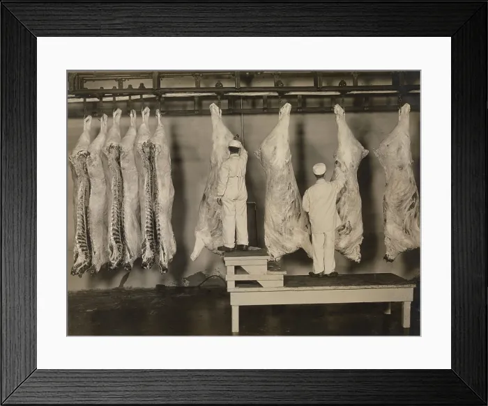 Framed Print : Federal meat inspectors examine animal carcasses in 1910. The Pure Food and Drug Act of 1906 provided for Federal inspection of meat in a Progressive Era reform