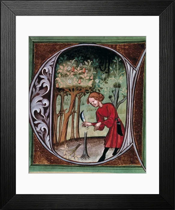 Framed Print : PIETRO de CRESCENZI (1233-1321). Opus Ruralium Commodorum. ca. 1305. Book of Rural Benefits. Capital letter with scene of a farmer extracting a graft