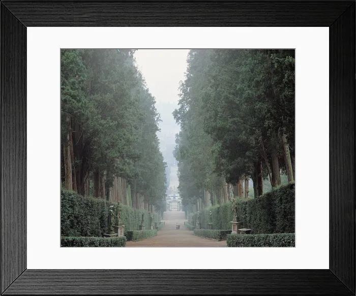 Framed Print : Pericoli Niccol known as Tribolo, Ammannati Bartolomeo, Buontalenti Bernardo, The walk in the Boboli gardens know as the Viottolone, 16th Century, Italy, Tuscany, Florence