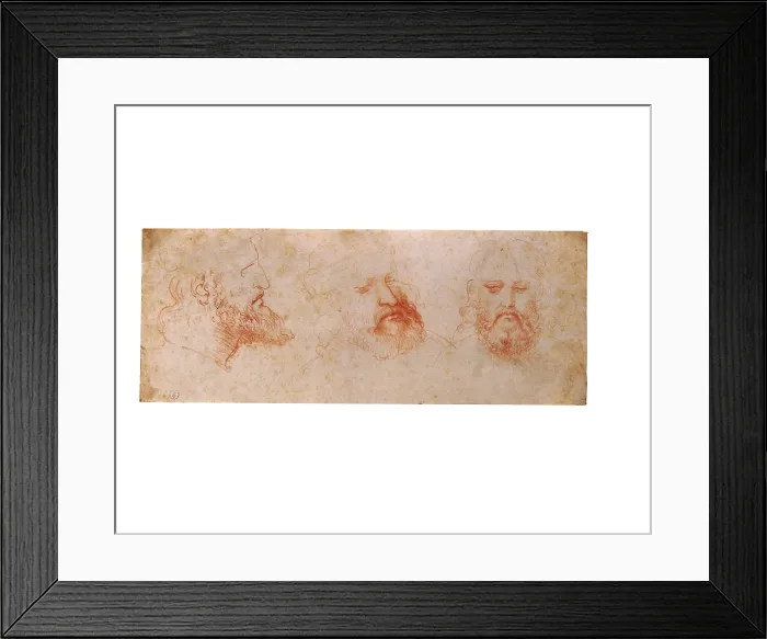 Framed Print : Leonardo da Vinci, Profile, three-quarter and frontal study of a male head, possibly a portrait of Cesare Borgia, 1502, 16th Century, sanguine on yellowed white paper, Italy