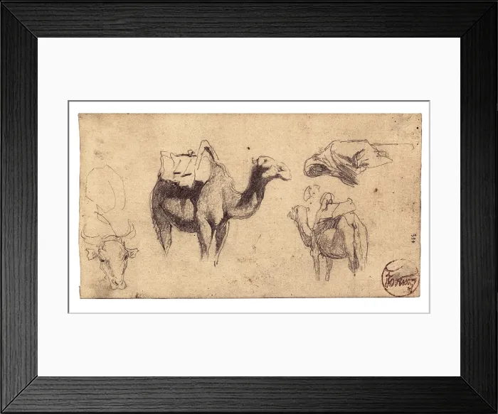 Framed Print : FORTUNY I MARSAL, Mariano (1838-1874). Camels. Notes from the War of Africa (Hispano-Moroccan War), 1860. Drawing with pencil. Romanticism. Drawing. SPAIN. Reus