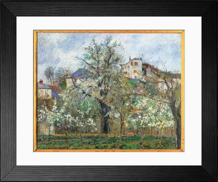 Framed Print : Vegetable Garden and Trees in Blossom, Spring, Pontoise, by Camille Pissarro, 1877, 19th Century, oil on canvas, cm 65, 5 x 81 - France, Ile de France, Paris, Muse dOrsay. All Framed Print : Vegetable Garden and Trees in Blossom, Spring, Pontoise, by Camille Pissarro, 1877, 19th Century, oil on canvas, cm 65, 5 x 81 - France, Ile de France, Paris, Muse dOrsay. All