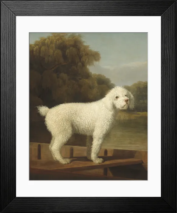 Framed Print : White Poodle in a Punt, by George Stubbs, 1780, British painting, oil on canvas Framed Print : White Poodle in a Punt, by George Stubbs, 1780, British painting, oil on canvas