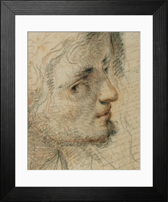 Framed Print : Montelatici Francesco known as Cecco Bravo, Study for a Head, 1633, 17th Century, black and red pencil on white paper, Italy, Tuscany, Florence, Uffizi Gallery Framed Print : Montelatici Francesco known as Cecco Bravo, Study for a Head, 1633, 17th Century, black and red pencil on white paper, Italy, Tuscany, Florence, Uffizi Gallery