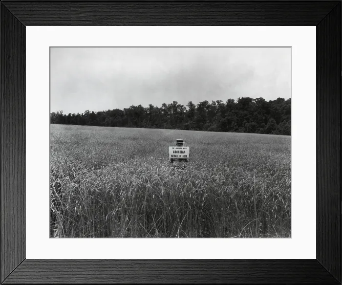 Framed Print : Man in a wheat field holding a sign, Top Dressed with Arcadian Nitrate of Soda. 1936 (BSLOC_2013_8_169)