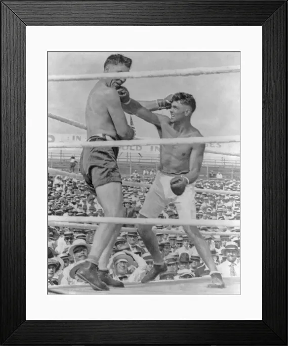 Framed Print : The knockout blow in the Jack Dempsey-Jess Willard fight, July 4, 1919, in Toledo, Ohio. Fight promoter Tex Willard matched the virtually unknown 180 lb