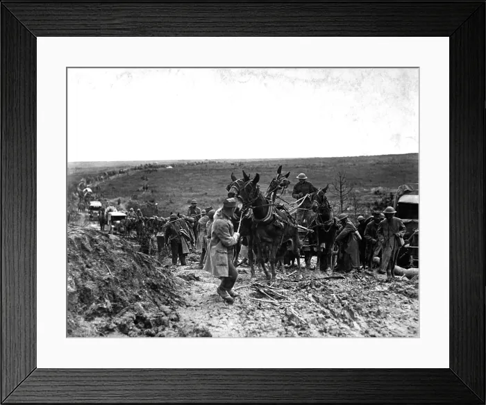 Framed Print : Mules baulking in an American ammunition wagon stuck in the road, holding up the advance of the whole column during the Battle of Saint-Mihiel. World War I. Sept. 13, 1918