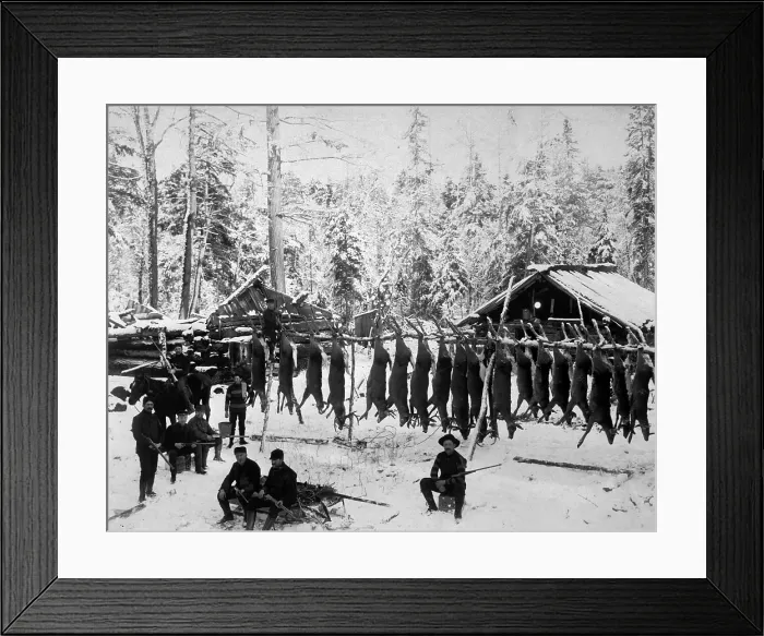 Framed Print : Hunting for wild game is a World War I method of conservation employed in Northern Michigan. Ca. 1918