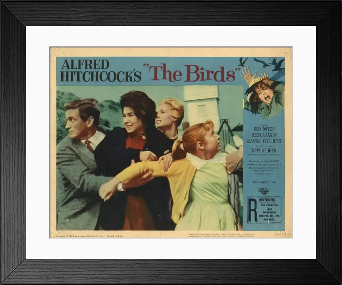 Framed Print : THE BIRDS, LOBBYCARD, from left: Rod Taylor, Suzanne Pleshette, Tippi Hedren, Veronica Cartwright, 1963