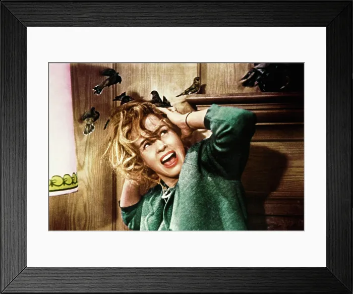 Framed Print : THE BIRDS, Jessica Tandy, 1963