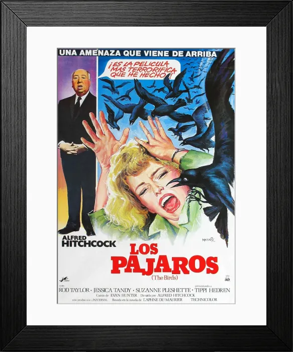 Framed Print : THE BIRDS, (aka LOS PAJAROS), l-r: Alfred Hitchcock, Tippi Hedren on Spanish poster art, 1963