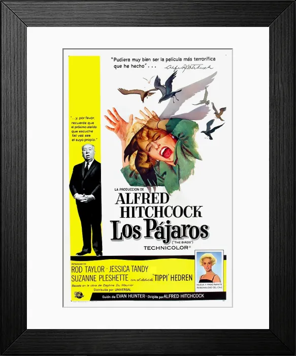 Framed Print : THE BIRDS, (aka LOS PAJAROS), Alfred Hitchcock, Tippi Hedren, 1963
